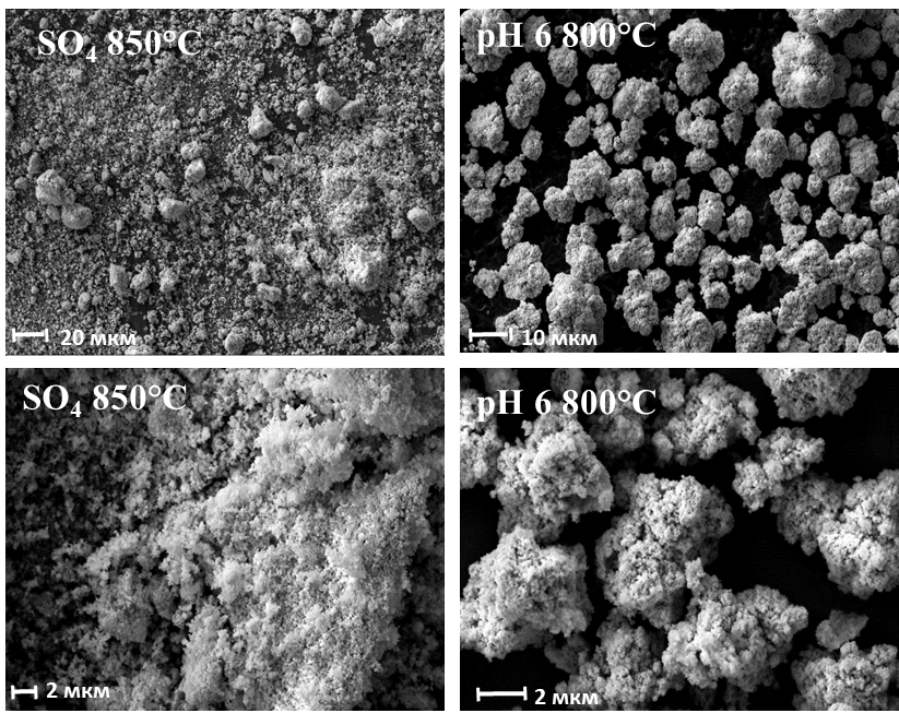 СЭМ изображения порошков, синтезированных при pH 6