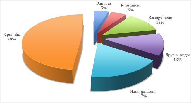 Видовой состав и процентное соотношение клещей, снятых с людей за изучаемый период