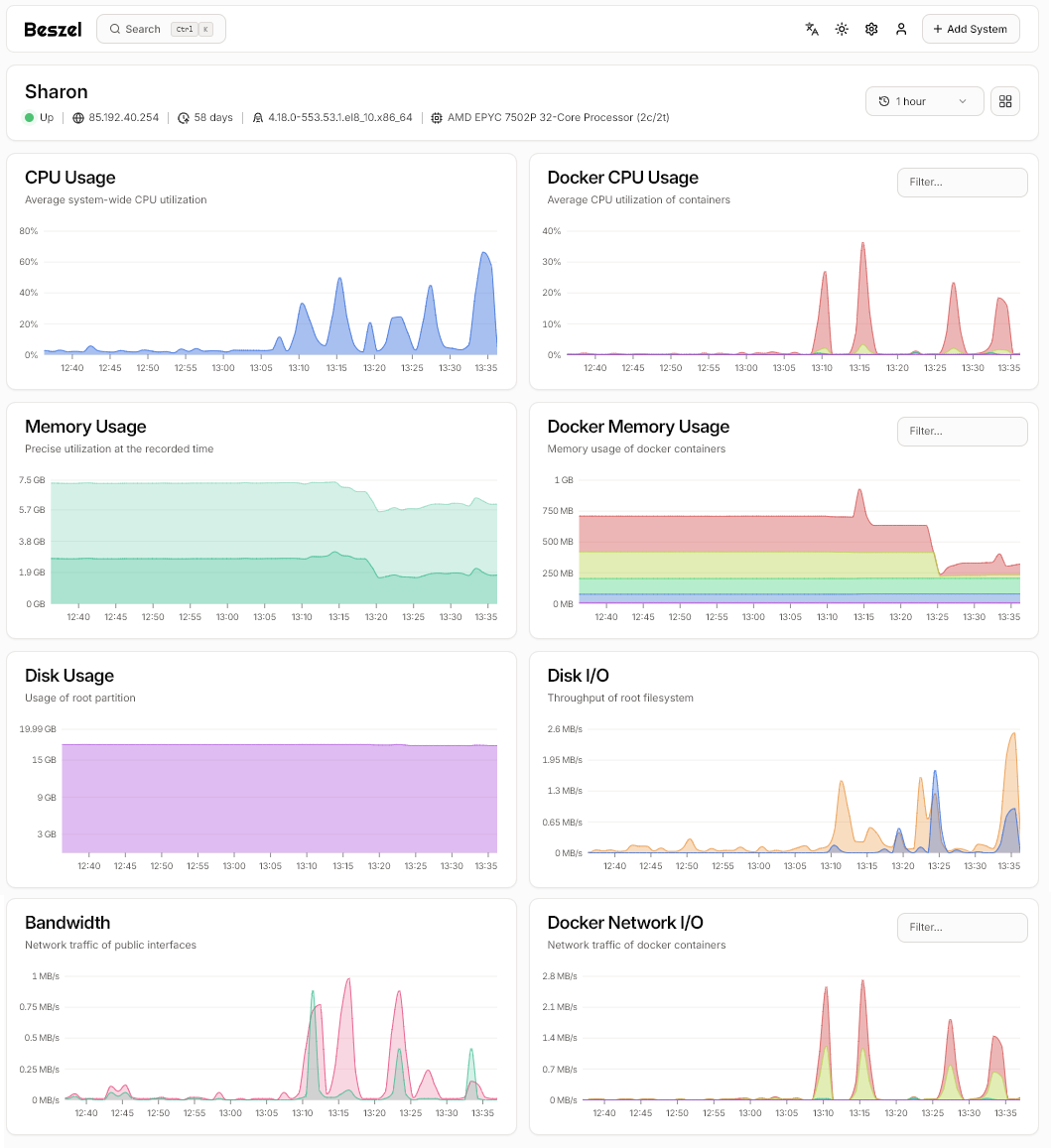Detailed information about the status of a particular server