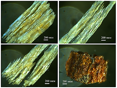 Изображения отдельных частиц опила фракции 1-1,25 мм
