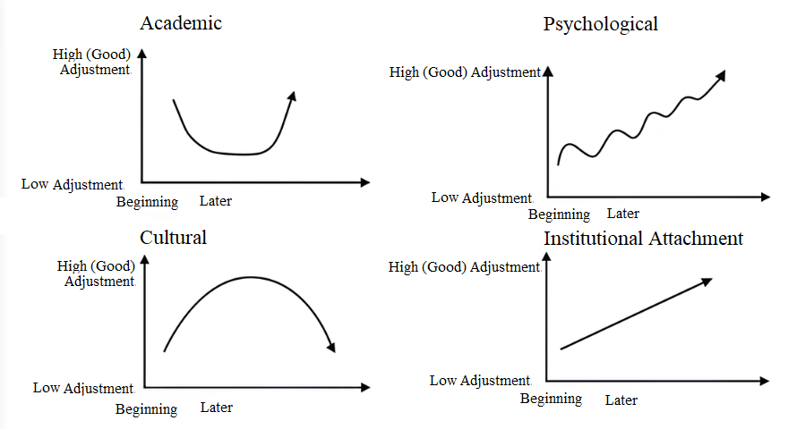 Adjustment curves for each dimension