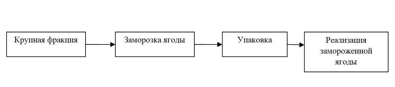 Технологическая схема комплексной переработки ягод шикши крупной фракции (d>9 мм)