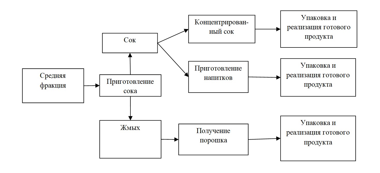 Технологическая схема комплексной переработки ягод шикши средней фракции (d=7-9 мм)
