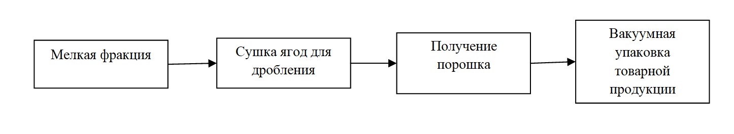Технологическая схема комплексной переработки ягод шикши мелкой фракции (d<7 мм)