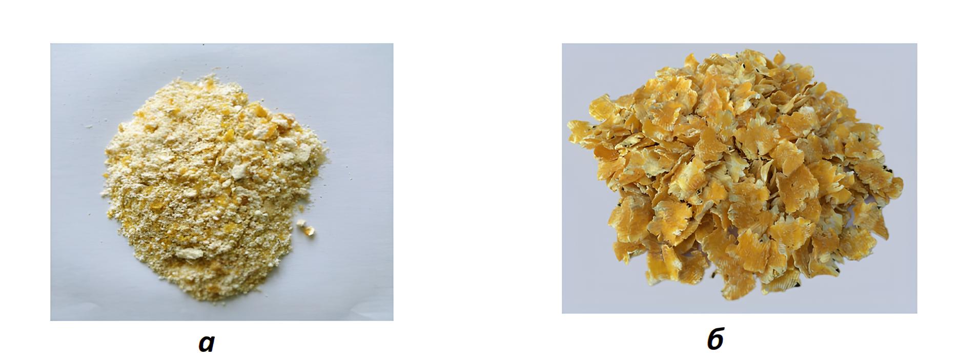 Зерна кукурузы в зависимости от способа обработки