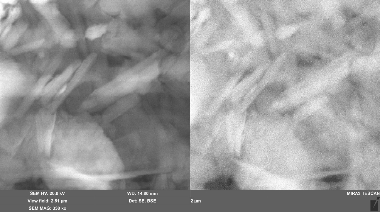 Изображение нанотрубок галлуазита, полученное при помощи электронного микроскопа