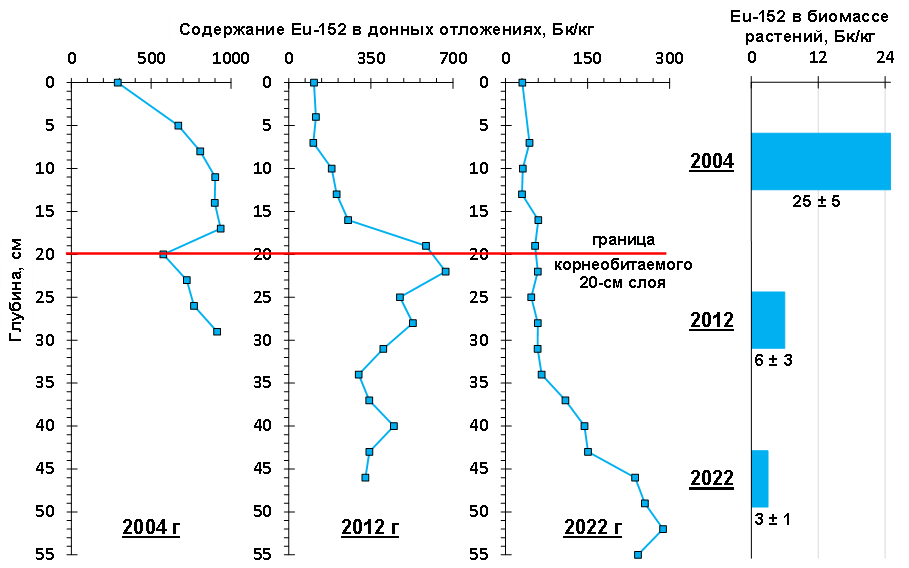 Распределение удельной активности 152Eu в слоях ДО реки Енисей и накопление 152Eu биомассой водных растений на ближнем участке влияния ГХК (Балчуг) с 2004 по 2022 год