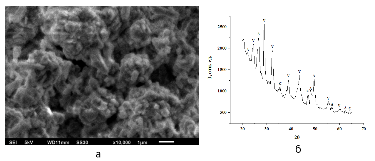 Частицы карбоната кальция, полученные при концентрации альбумина 4,25 г/л без выдерживания времени смешивания растворов:а – морфология частиц; б – соответствующая дифрактограмма порошка карбоната кальция