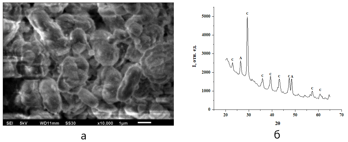 Кристаллы карбоната кальция, полученные при концентрации альбумина 3,5 г/л:а – морфология частиц кальцита; б – дифрактограмма порошка карбоната кальция