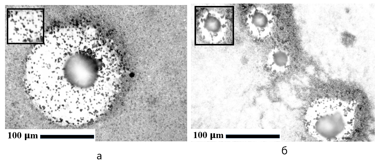 Кристаллы карбоната кальция, полученные при концентрации альбумина 4,5 г/л