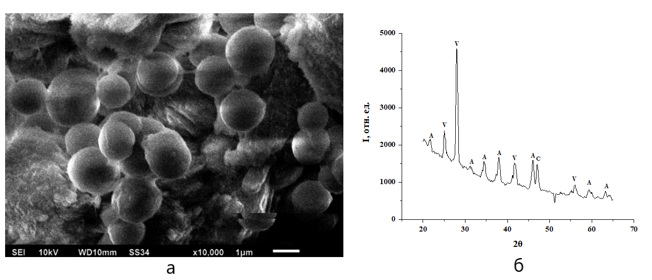 Частицы карбоната кальция, полученные при концентрации альбумина 4,25 г/л при смешивании растворов в течение 30 с: а – морфология частиц сферического ватерита; б – соответствующая дифрактограмма порошка карбоната кальция при этих условиях кристаллизации