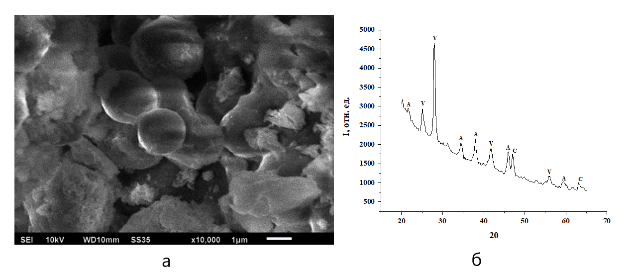 Частицы карбоната кальция, полученные при концентрации альбумина 4,25 г/л при смешивании растворов в течение 30 мин:а – морфология частиц; б – соответствующая этим условиям кристаллизации дифрактограмма порошка карбоната кальция