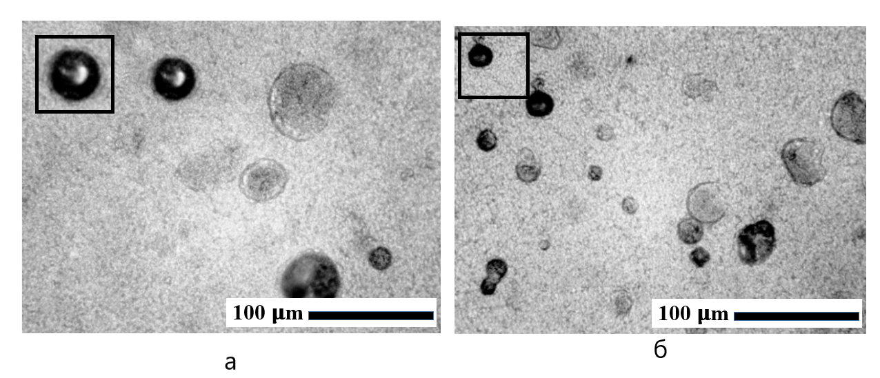 Кристаллы карбоната кальция, полученные при концентрации альбумина 5 (а) и 5,5 г/л (б)