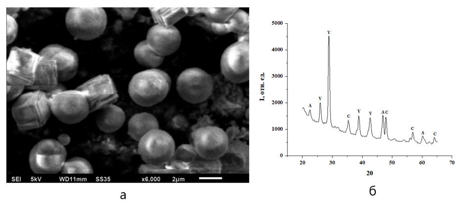 Кристаллы карбоната кальция, полученные при концентрации альбумина 4,25 г/л:а – морфология частиц сферического ватерита и кубического кальцита; б – соответствующая для этой концентрации дифрактограмма порошка карбоната кальция