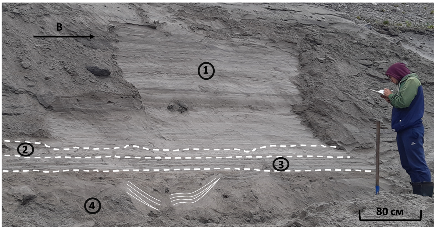 Горизонтально-слоистые озерные пески с дропстоуном, с прослоями ленточных глин в основании, залегающие на нарушенных грубозернистых песках