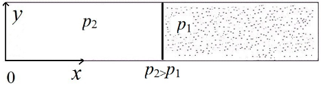 Общая схема ударной трубы с газовзвесью
