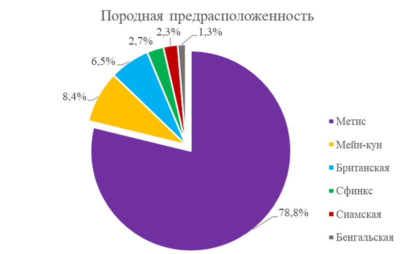 Породная предрасположенность кошек в исследуемой группе