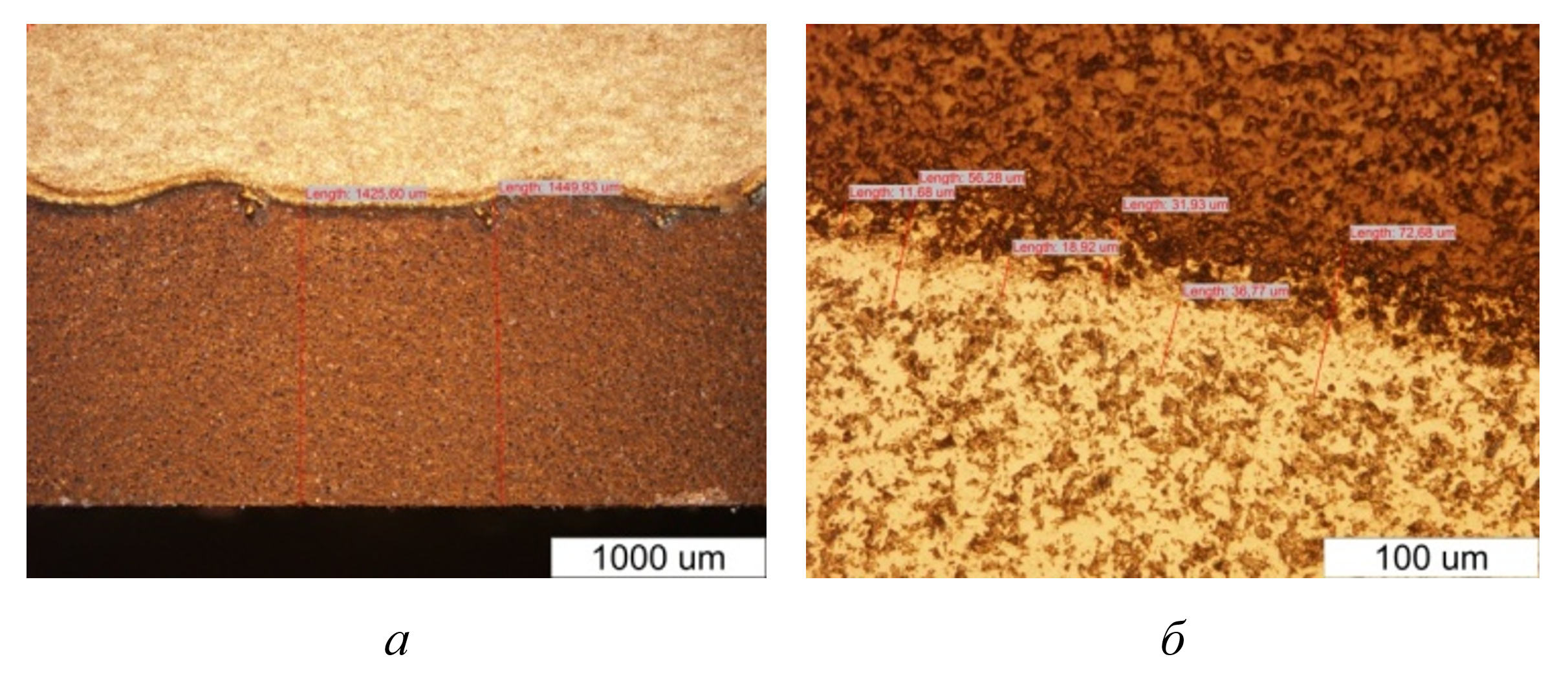 Оптическое изображение интерфейса образца №2 PDC резца: а - Средняя толщина алмазного слоя в 1,45 мм; б - толщина интерфейса 50-70 мкм