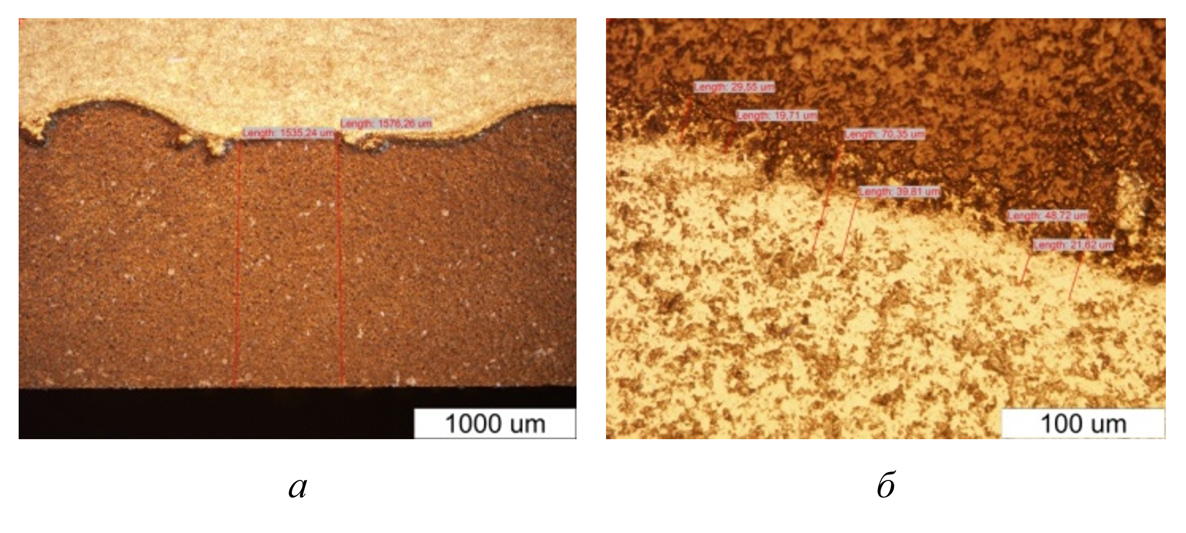 Оптическое изображение интерфейса образца №1 PDC резца: а - средняя толщина алмазного слоя в 1,55 мм; б - толщина интерфейса 44-75 мкм