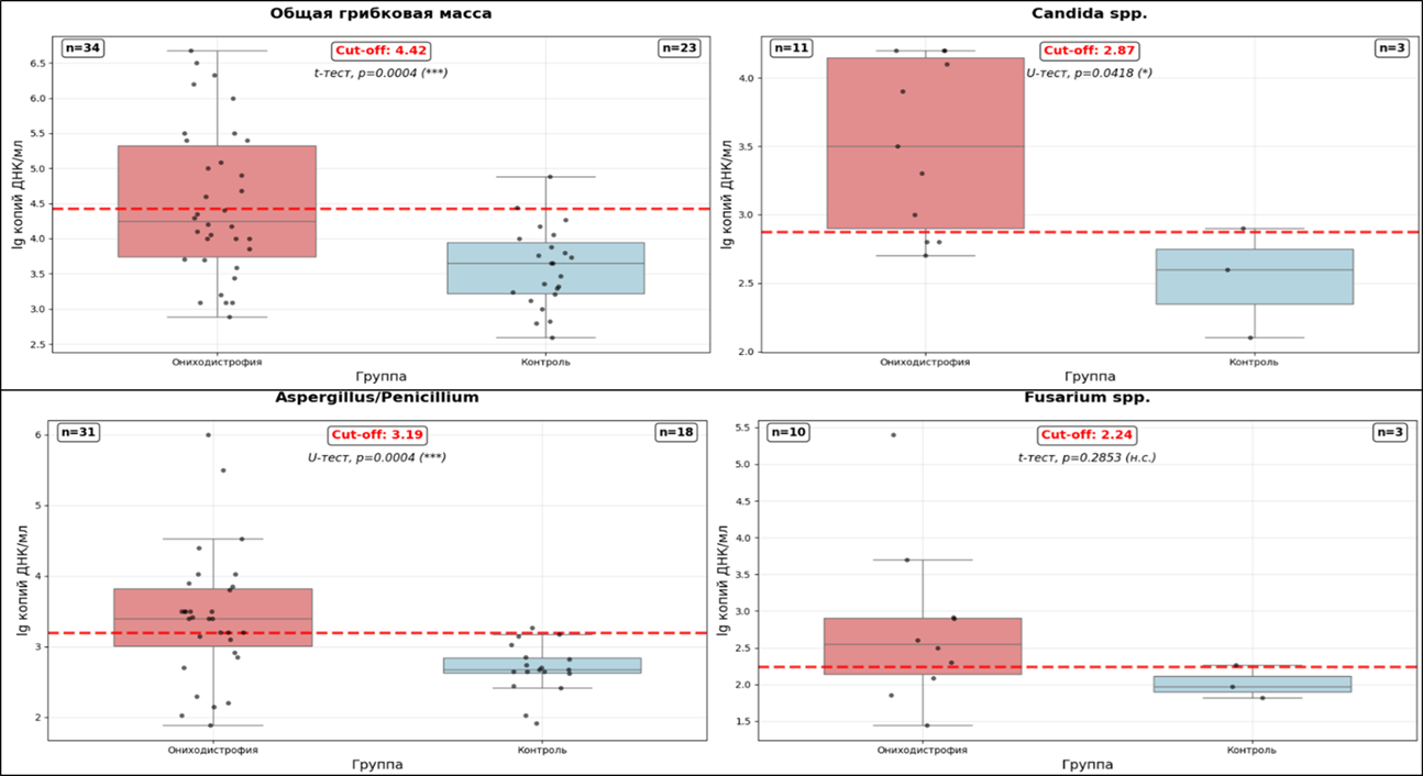 Сравнительный анализ количественных показателей грибковой нагрузки у пациентов с ониходистрофией и в контрольной группе