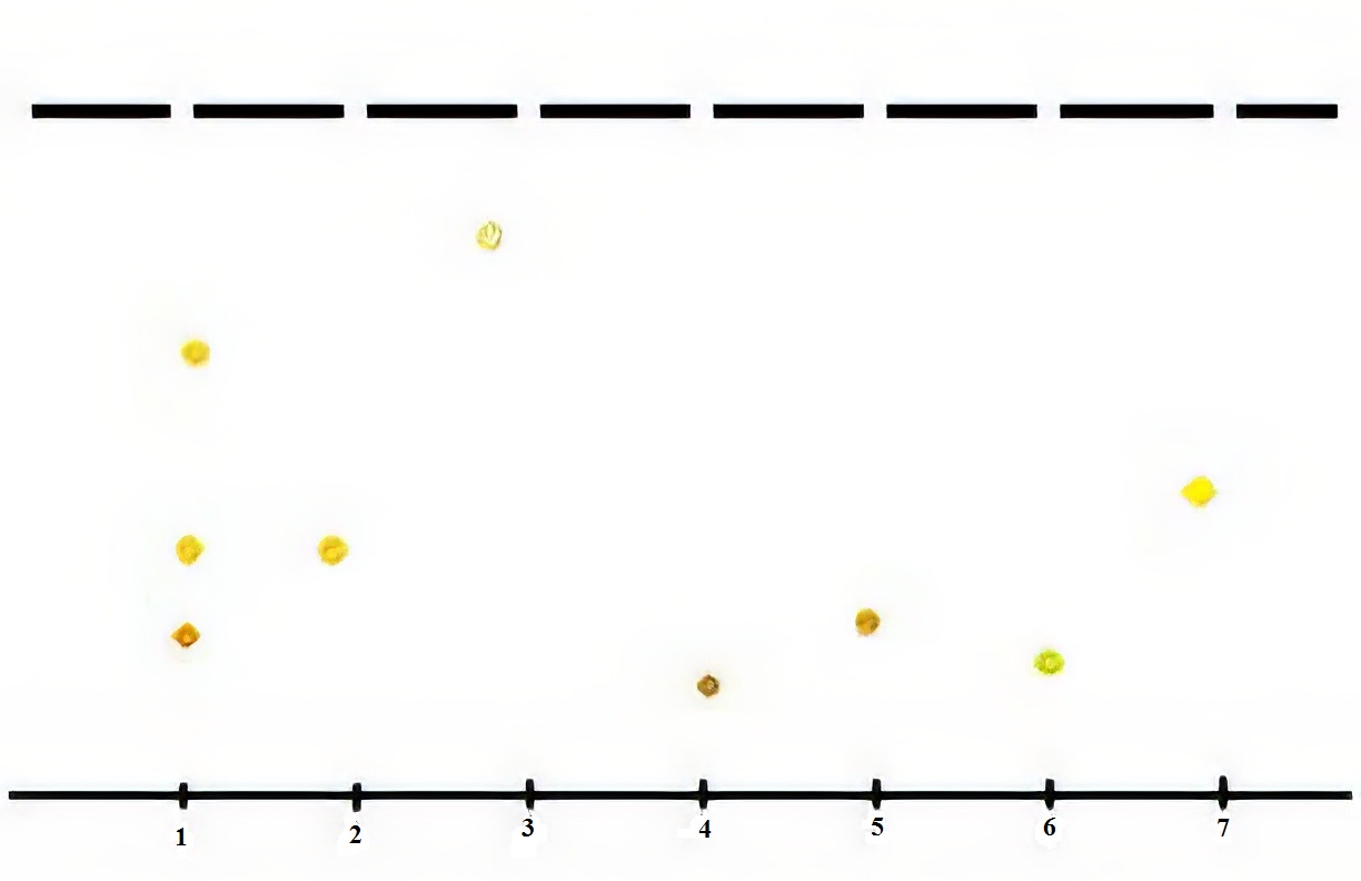 Схема хроматограммы извлечения из травы буквицы