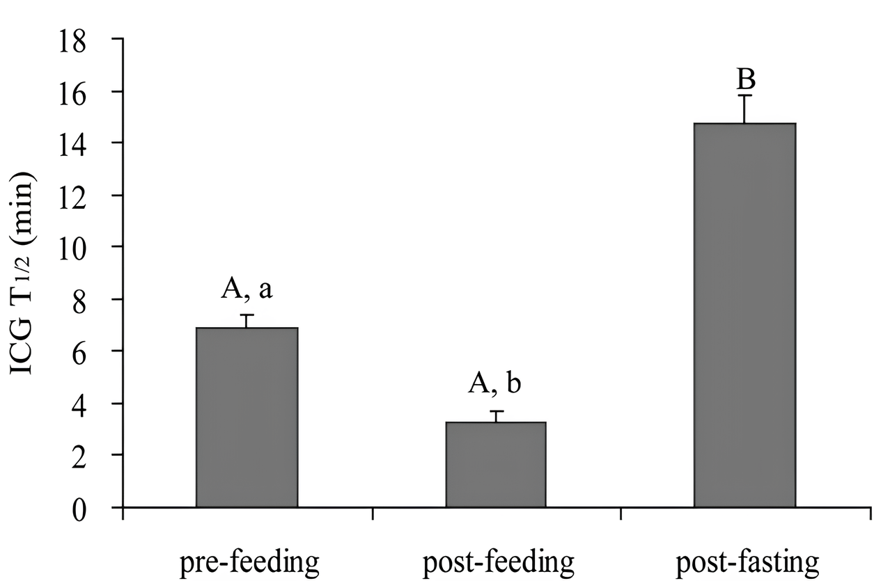 Half-life (T1/2) values of indocyanine green before feeding, 3 hours after feeding and after fasting in productive animals