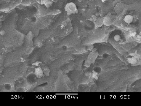 Микроструктура цементно-зольного вяжущего с диопсидом