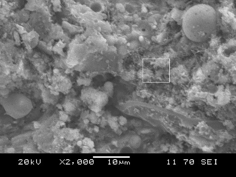 Микроструктура цементно-зольного вяжущего без добавок