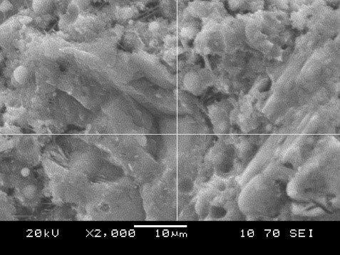 Микроструктура цементно-зольного вяжущего с волластонитом