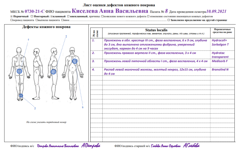 Профилактика, диагностика и лечение пролежневого процесса у пациентов, нуждающихся в паллиативной помощи. Практическое руководство для врачей и медицинских сестер
