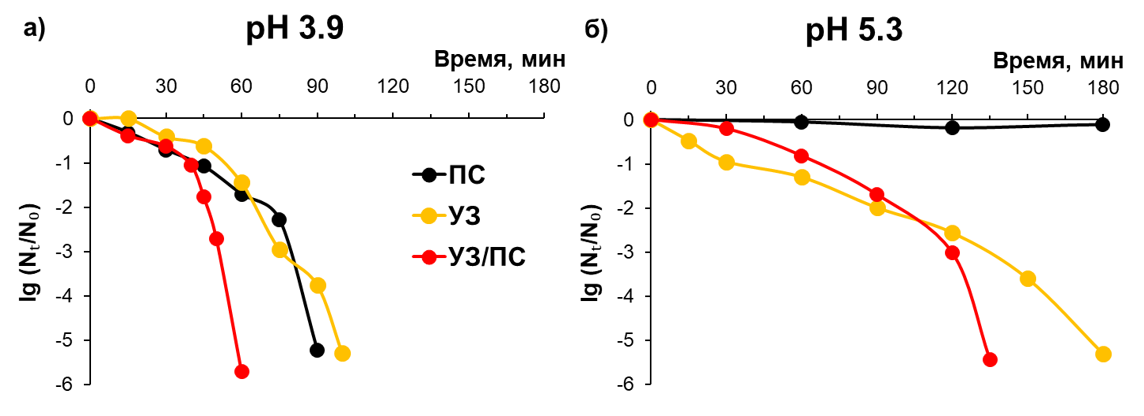 Кинетика инактивации E. coli в деионизированной воде соноактивированным персульфатом при разных pH среды