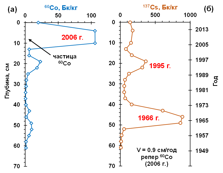 Пример вертикального распределения 60Co, 137Cs в ДО (а, б) и хронологии поступления 137Cs (б) в ДО р. Енисей района Балчуг