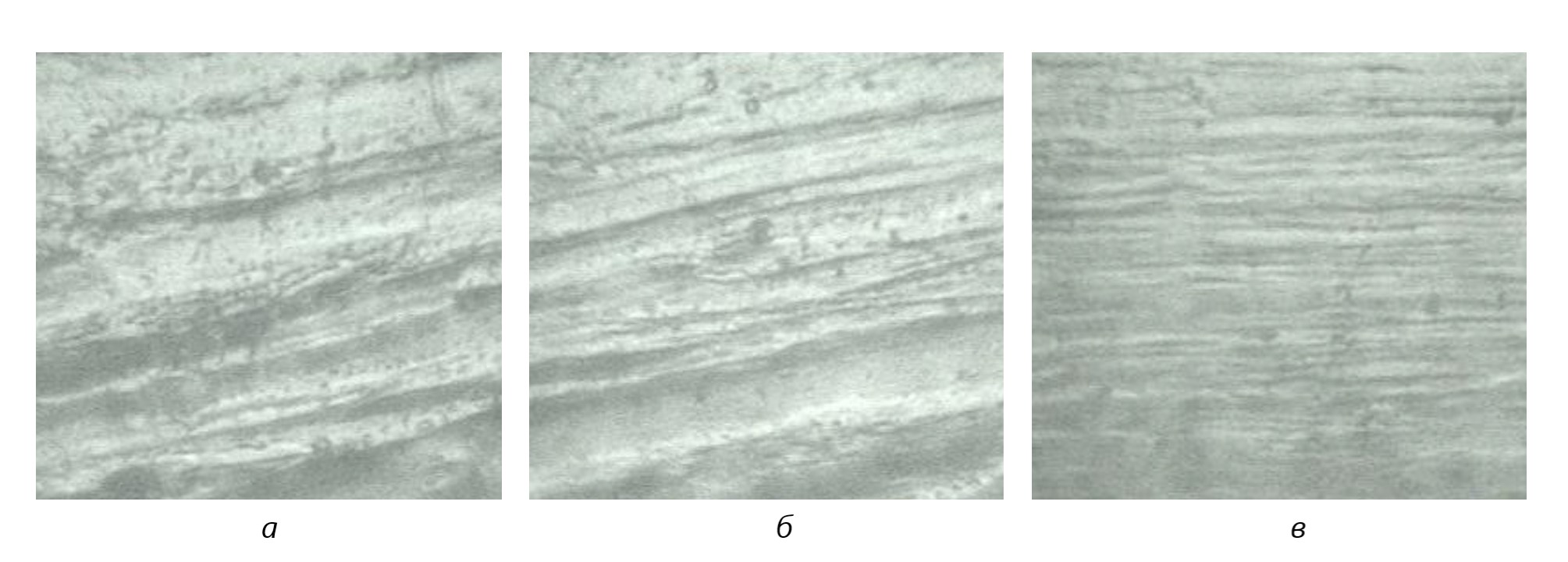 Микроструктура деформированных полуфабрикатов из нового сплава палладия: а – 2,2х2,2 мм; б - 1,8х1,8 мм; в – диаметр 1,0 мм