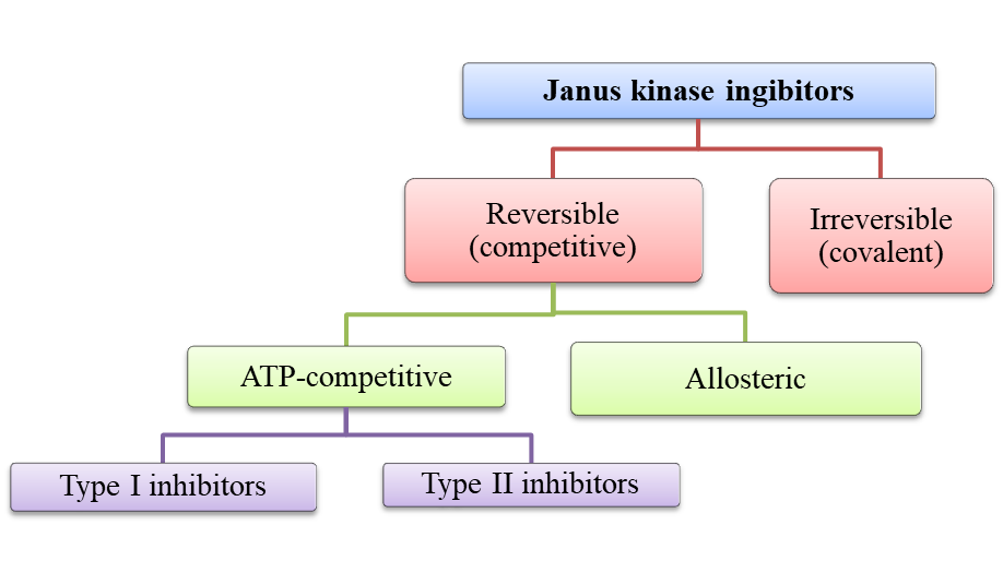 Классификация ингибиторов янус-киназ