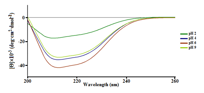 КД-спектры ПБК-М при различных рН среды в дальней УФ-области