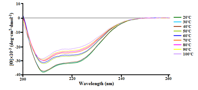КД-спектры ПБК-М в 10 мМ натрий-фосфатном буферном растворе после термической обработки в дальней УФ-области