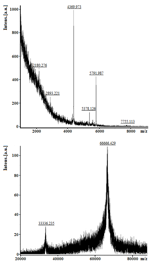 MALDI-TOF-масс-спектр фракции 3Н после разделения методом обращённо-фазовой высокоэффективной жидкостной хроматографии (Рис. 2)