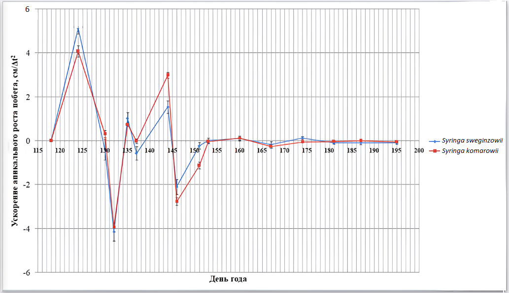 Ускорение апикального прироста сиреней