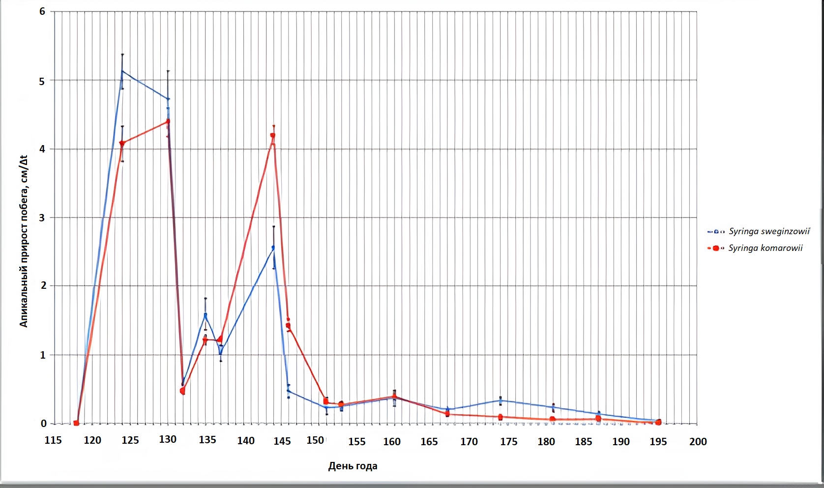 Апикальный рост генеративных побегов сирени Звегинцова и Комарова