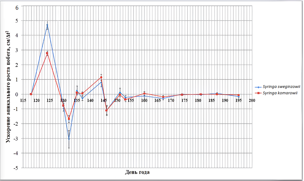 Апикальный прирост вегетативных побегов Syringa sweginzowii и Syringa komarowii за 2023 год