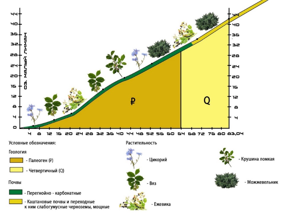 Ландшафтный профиль 3