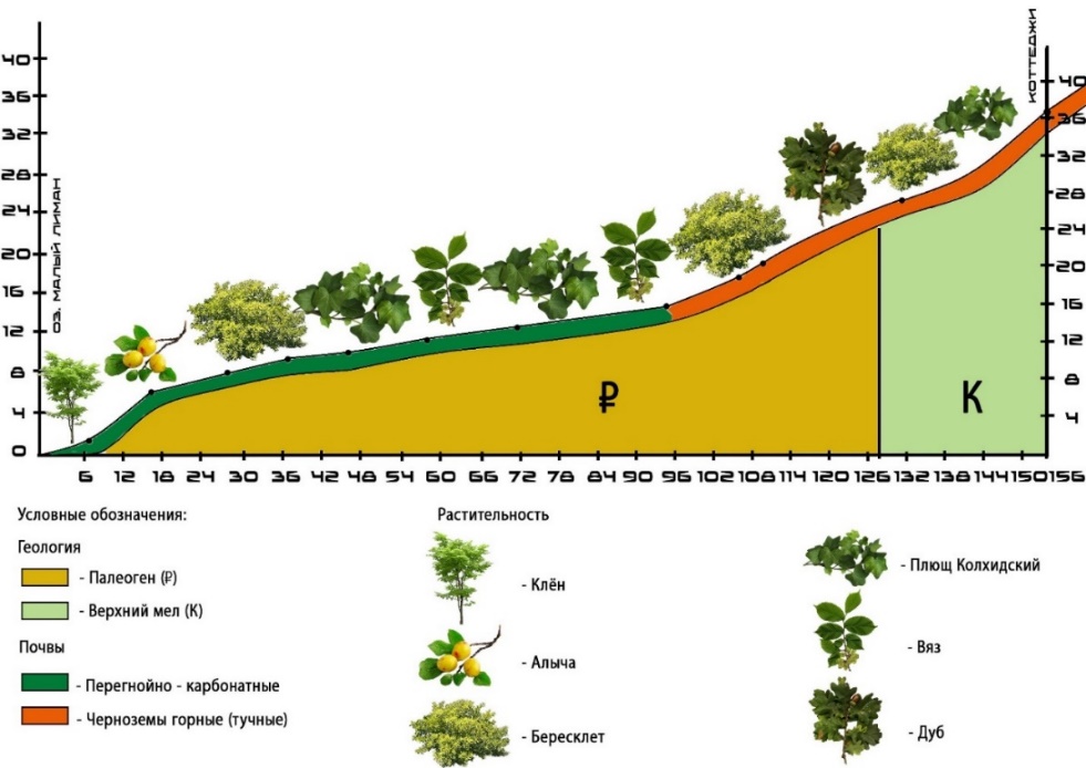 Ландшафтный профиль 1