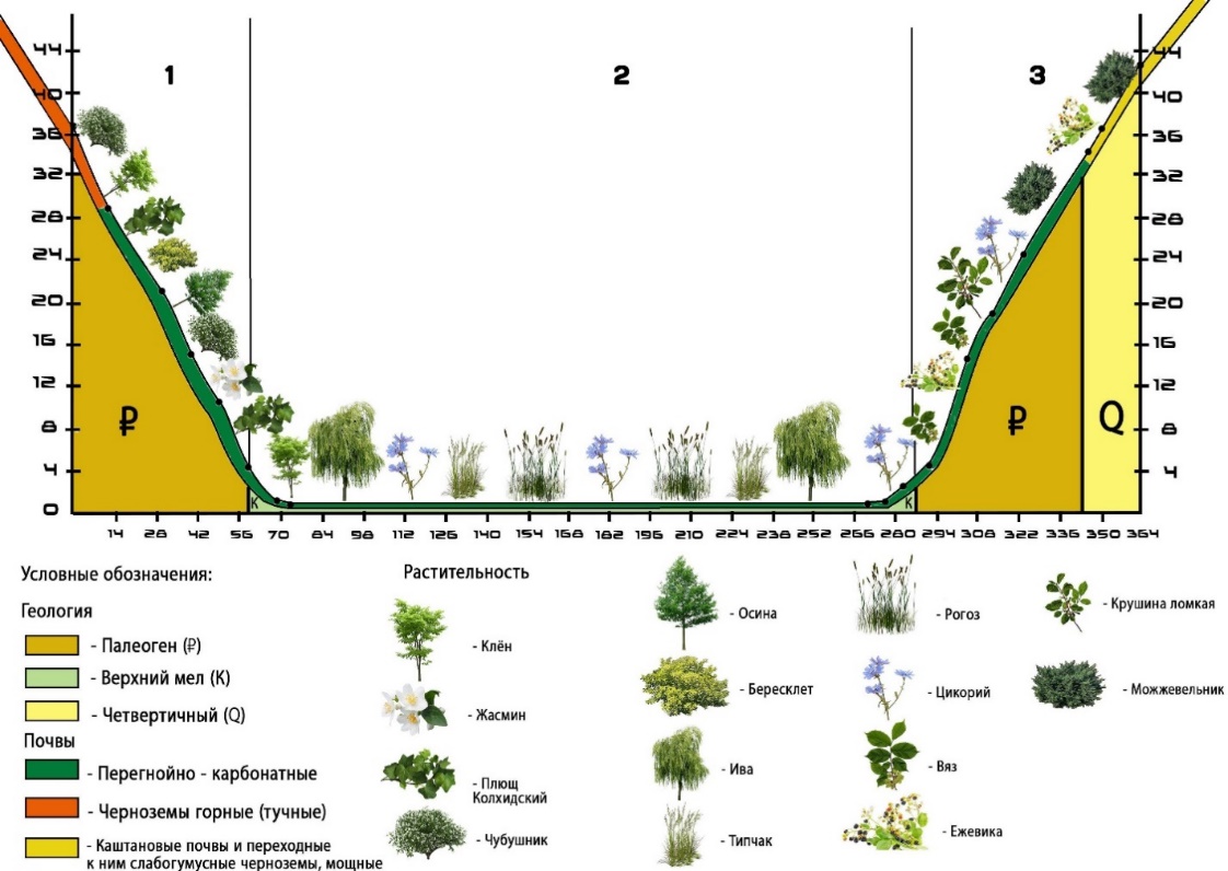 Ландшафтный профиль 4
