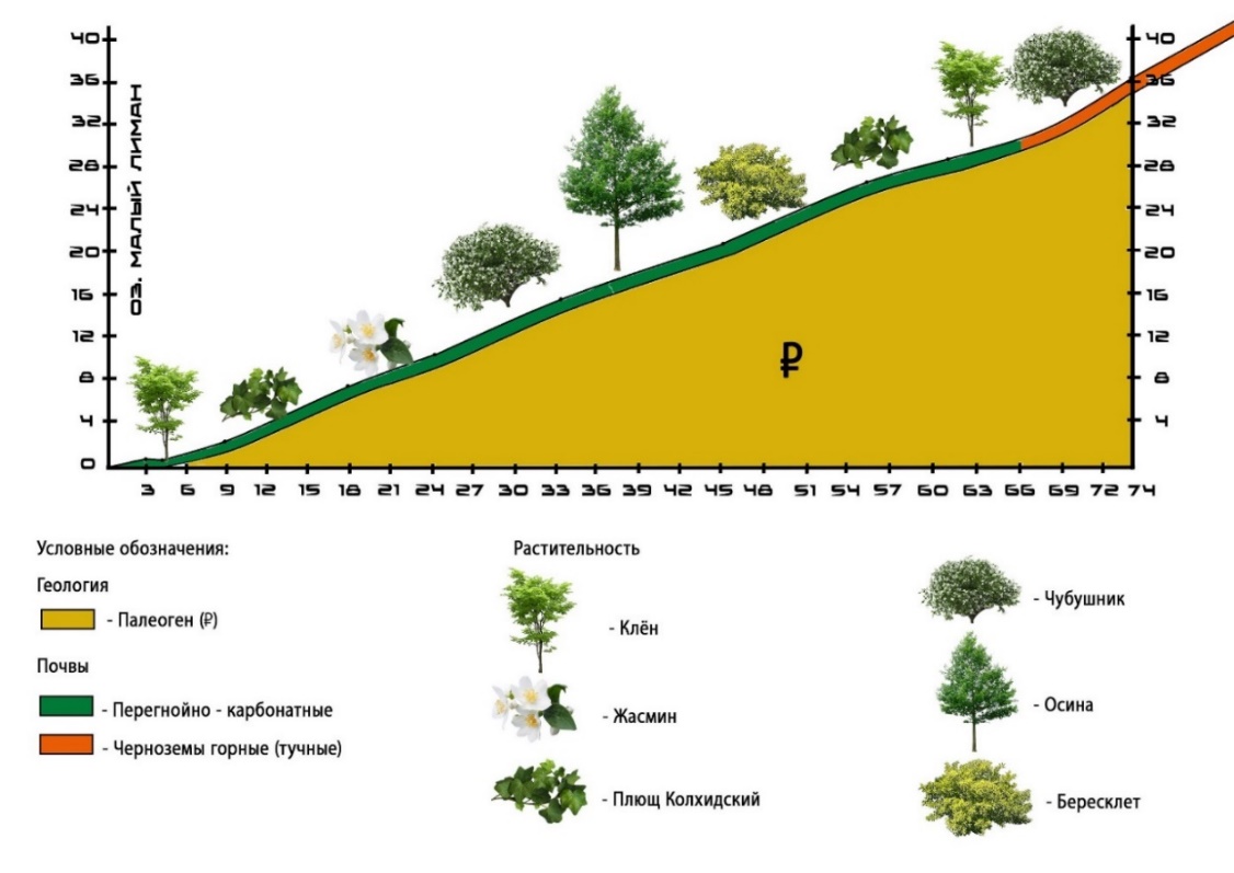 Ландшафтный профиль 2