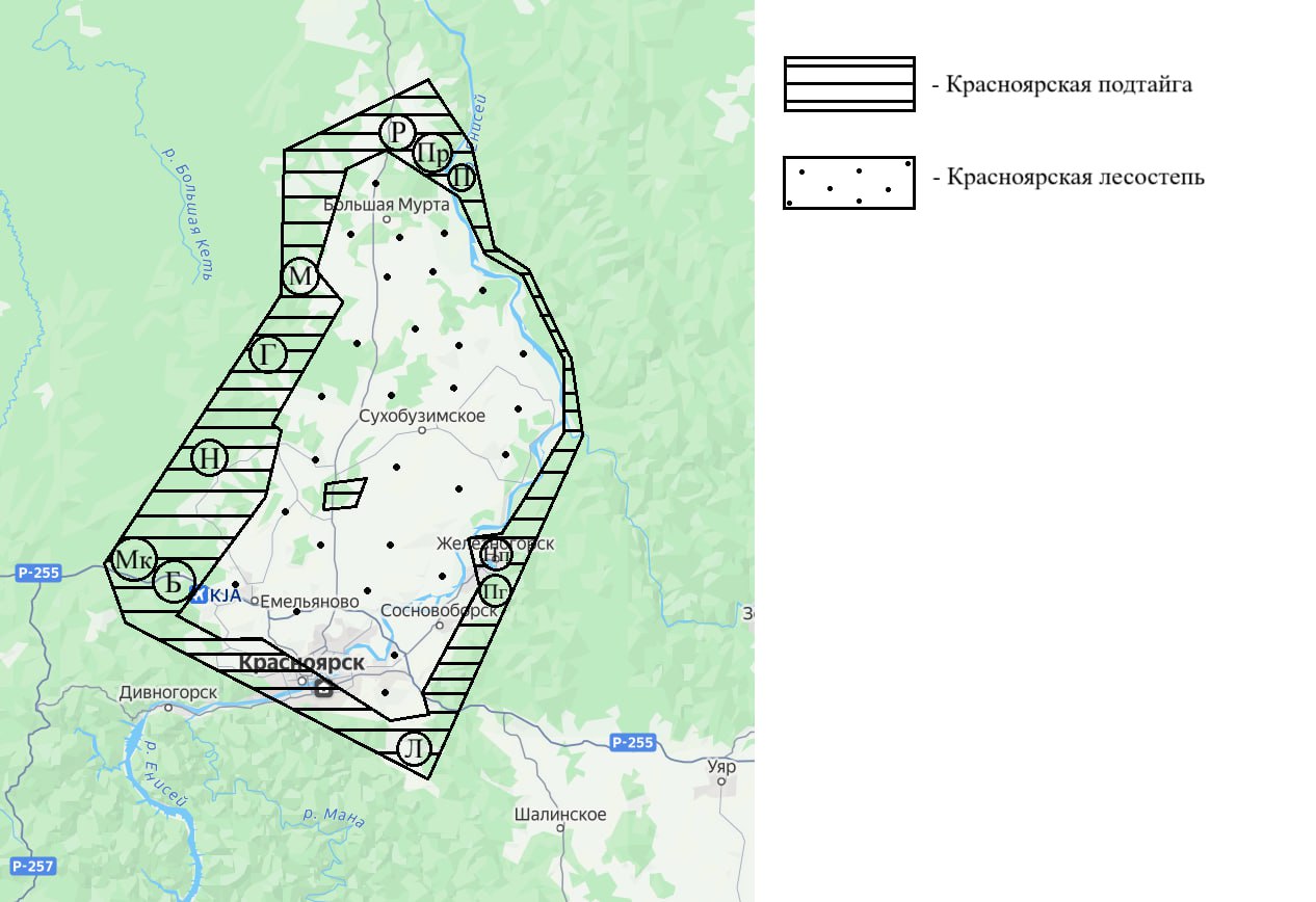 Места работы авторов в подтайге Красноярской котловины