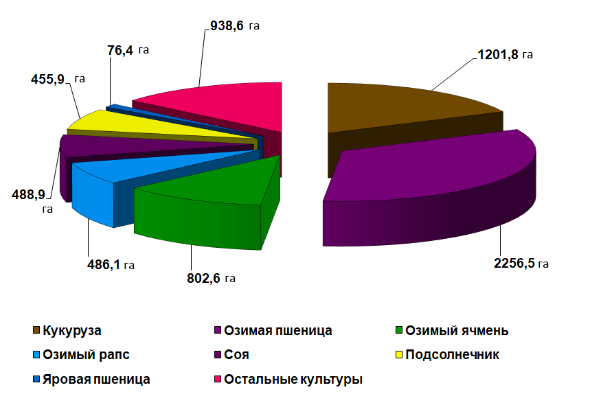 Распределение суммарной площади различных сельскохозяйственных культур, подвергавшихся градобитию в 2023 году