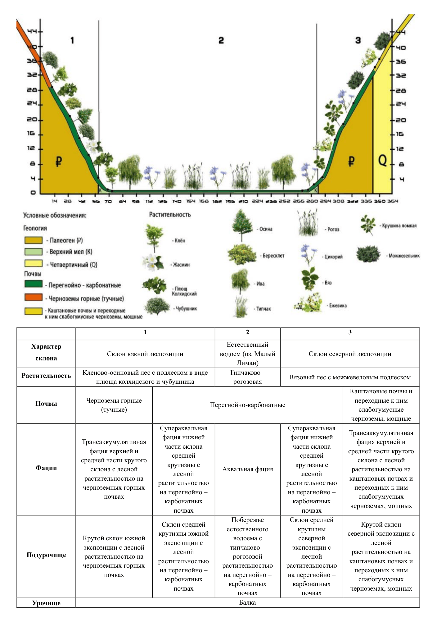 Ландшафтный профиль БПиСОТ «Лиманчик»