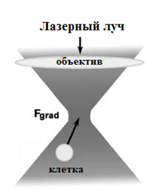 Схематичное представление работы лазерного твизера