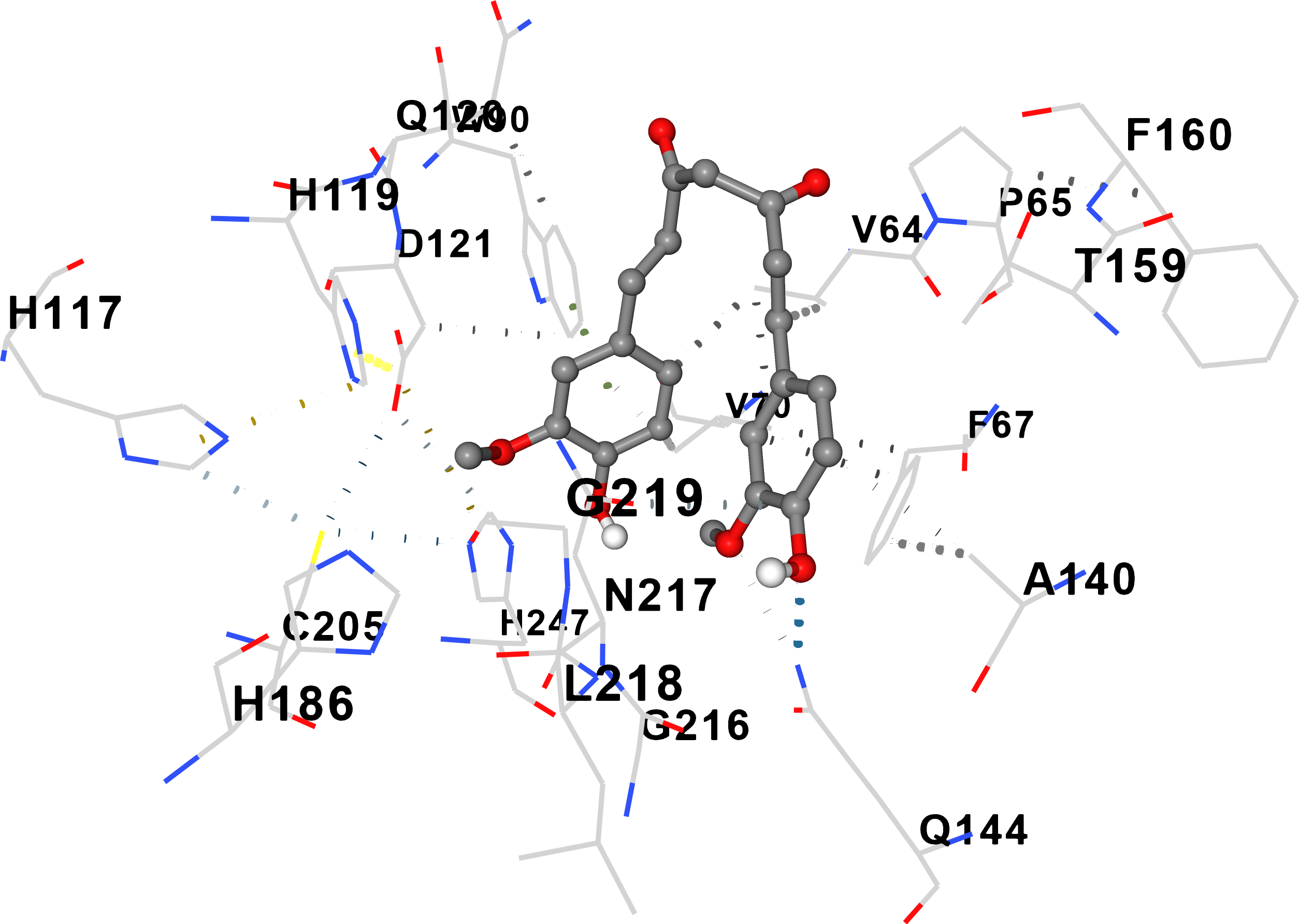 Molecular docking of curcumin to AFM1