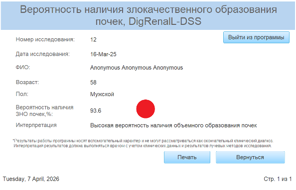 Пример интерфейса цифровой модели для расчета вероятности злокачественного характера объемного образования почки